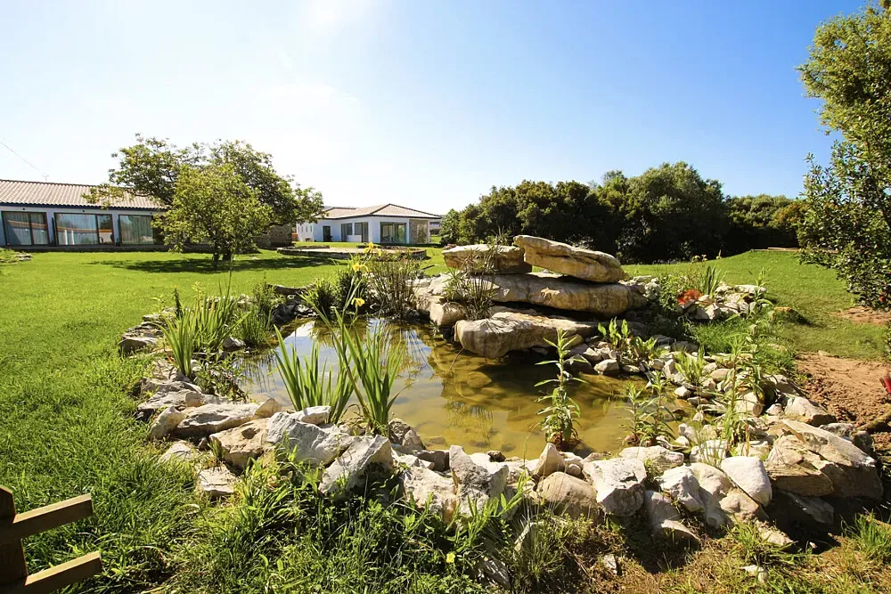 Terra Raiz — The center is located in Aljezur, a region known for its natural beauty, offering a serene backdrop for contemplation and relaxation. The atmosphere is designed to be a sanctuary, promoting comfort and renewal.