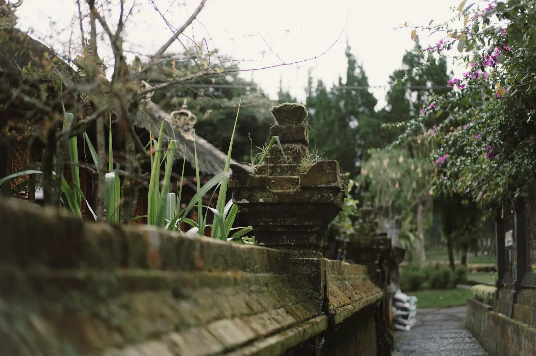 The Ark, Ubud, Bali — The Ark is situated deep within the vibrant, green jungle landscape of Ubud, Bali. The atmosphere is one of profound tranquility and natural immersion, offering a complete escape from urban environments. Expect lush vegetation, the sounds of nature, and a sense of being truly off-grid.