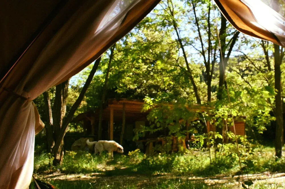 The Evergreen Project — Nestled among pine and oak trees, The Evergreen Project provides a serene natural backdrop. The atmosphere is one of peaceful simplicity, encouraging guests to immerse themselves in the grounding rhythms of the natural world.