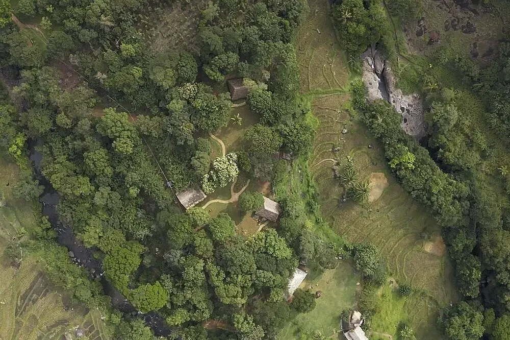 The Forestry — The retreat is situated on seven acres of lush forest, active rice fields, and organic gardens, all bordering a tranquil river in Belihuloya, Sri Lanka. The atmosphere is one of profound natural immersion, where the sounds of the forest and the flow of the river create a deeply calming environment.