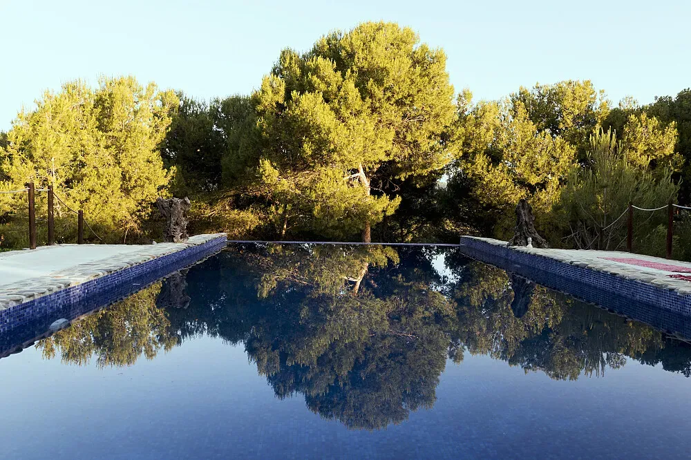 The Hacienda Retreat Centre — The center is situated in the 'real' Andalusian countryside, characterized by extensive olive groves, wheatfields, and pine forests, providing a deeply peaceful and natural environment. The landscape encourages exploration and offers a quiet escape from daily life, with abundant birdlife adding to the serene atmosphere.