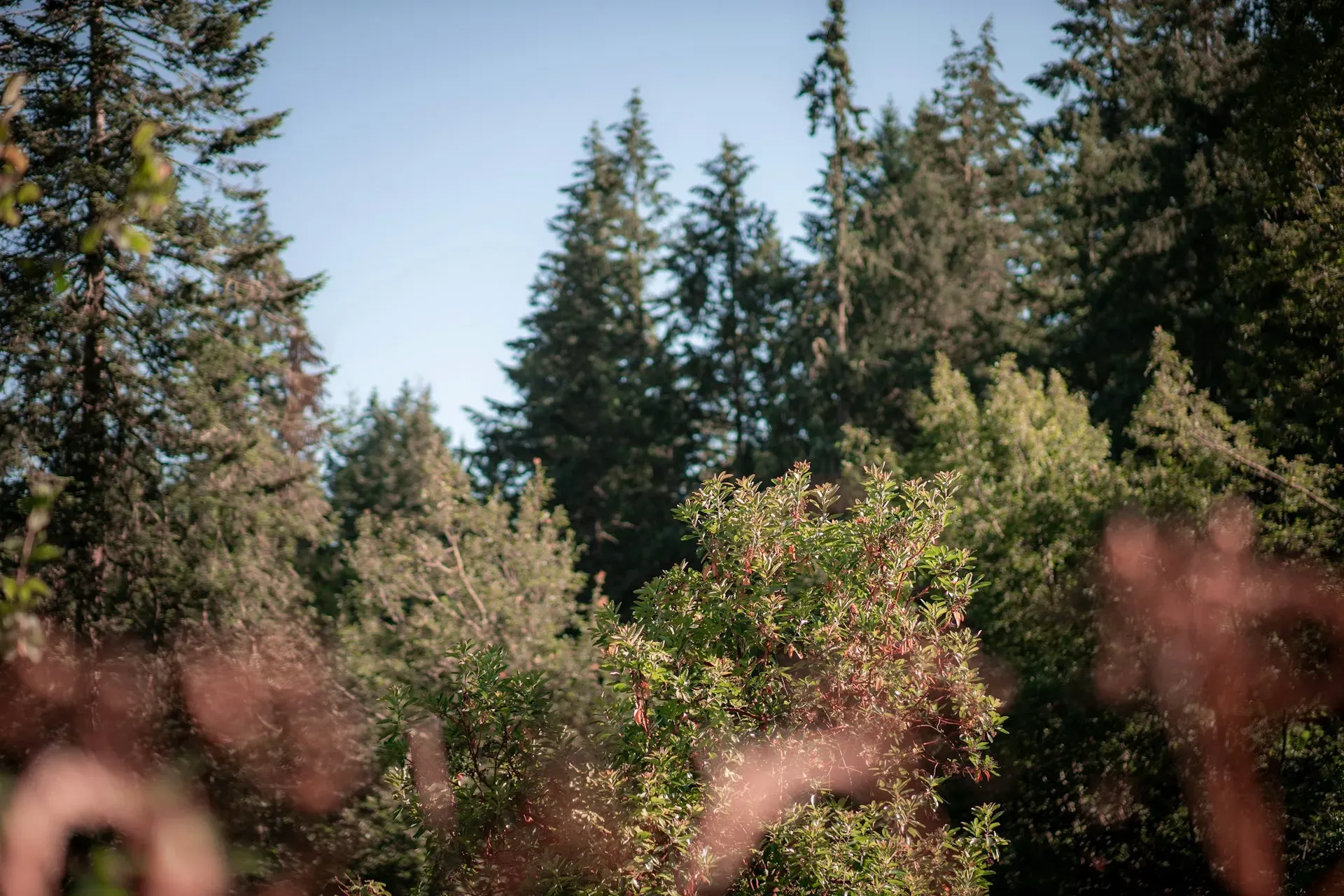 The Haven Retreat — Nestled amidst natural beauty, The Haven Retreat provides a serene backdrop for contemplation and relaxation. Guests can explore forest paths, unwind by a creekside fire circle, and enjoy thoughtfully landscaped gardens, all contributing to an atmosphere of peaceful immersion in the outdoors.