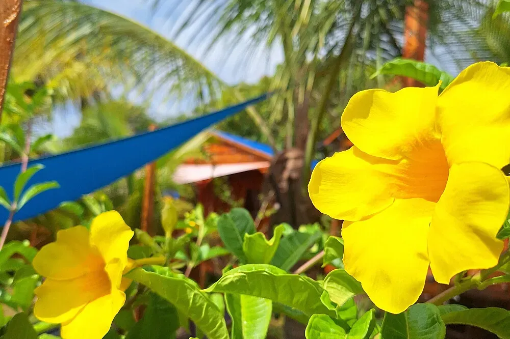 The Lighthouse Retreat, Little Corn island, Nicaragua.