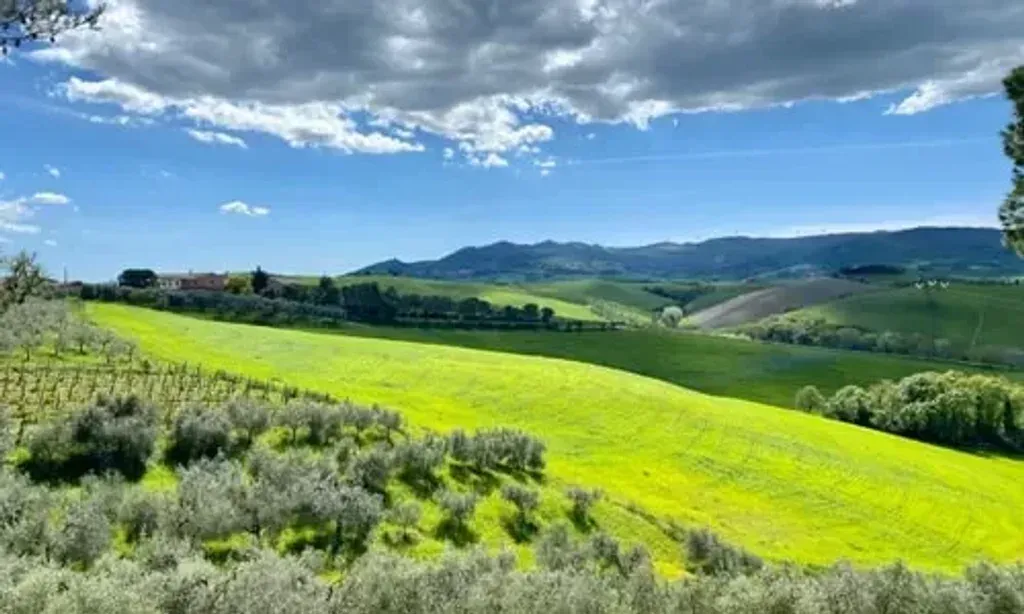 The Transmission School — Set amidst the lush, rolling hills of the Volterra countryside, The Transmission School offers a serene and inspiring backdrop for its programs. The natural environment is integral to the school's ethos, promoting a harmonious relationship between human beings and Mother Earth.