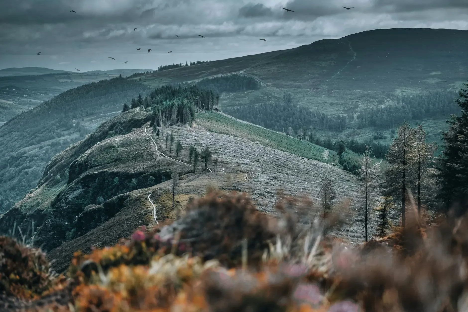 The Wicklow Escape — Nestled within the picturesque landscapes of Wicklow, known as the 'Garden of Ireland,' the center is surrounded by rolling hills, lush greenery, and a sense of profound tranquility. The atmosphere is one of peaceful seclusion, offering a natural backdrop for introspection and relaxation.