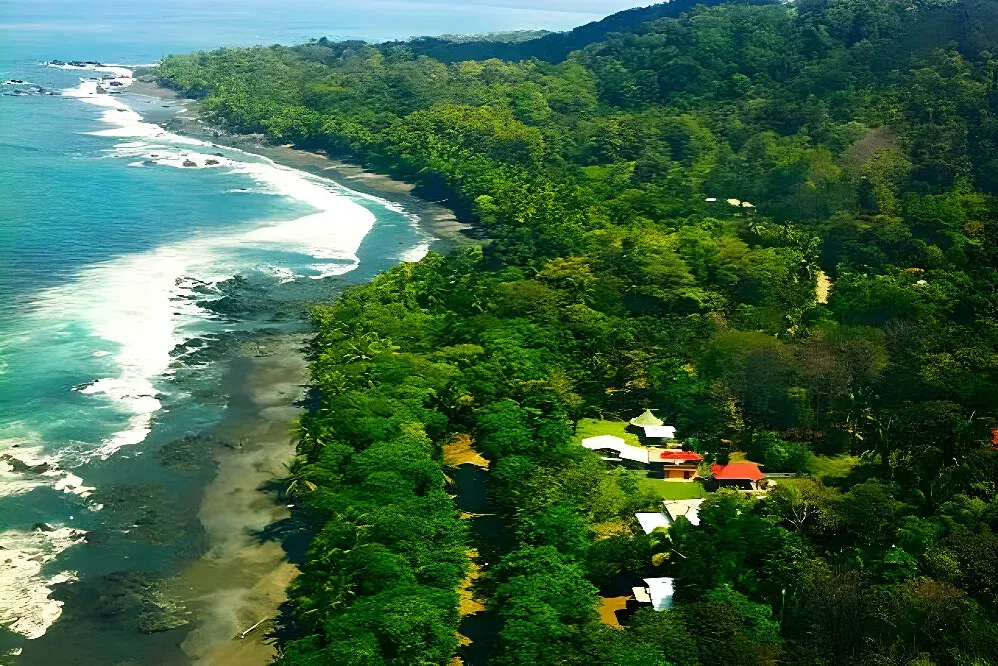 Tiskita Jungle Lodge — The lodge is situated within vast acres of protected rainforest in Punta Banco, offering an immersive natural experience. The atmosphere is one of profound tranquility, dominated by the sights and sounds of the jungle, providing a peaceful escape from daily life.