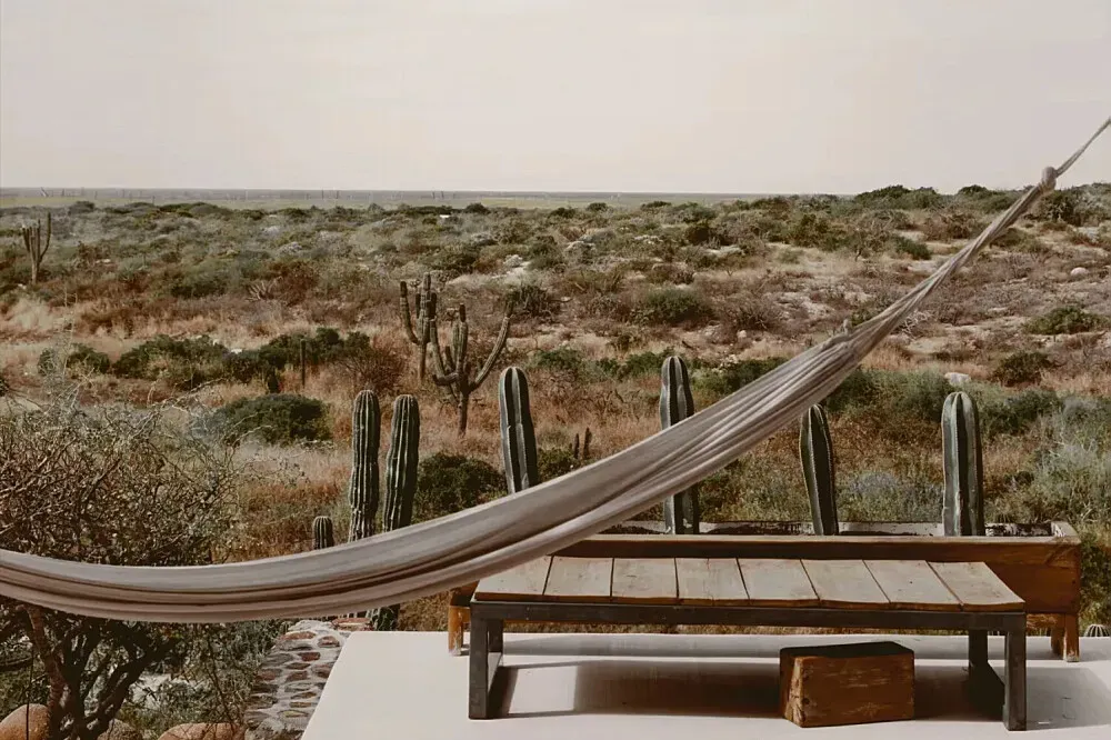 Tribu Todos Santos Hotel — Baja California provides a stunning backdrop of desert landscapes meeting the Pacific Ocean. The atmosphere in Todos Santos is typically relaxed and artistic, with a bohemian charm that invites exploration and a slower pace of life. Expect warm weather and a vibrant local culture.
