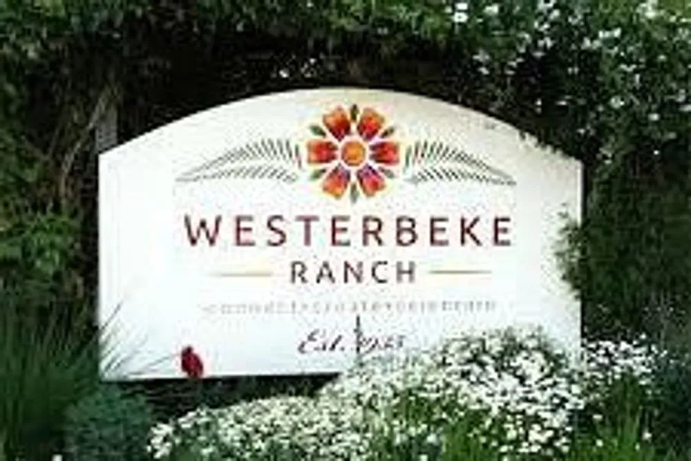 Westerbeke Ranch — set in the picturesque "Valley of the Moon" in Sonoma, Westerbeke Ranch provides a tranquil, natural backdrop for reflection and connection. The landscape is characterized by rolling hills and a peaceful ambiance, offering a genuine escape from urban life. It feels like a private ranch getaway, with ample space to wander and breathe.