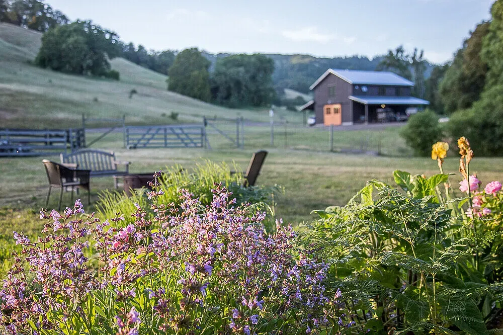 Whispertree Retreat — The retreat is set between two ridges, forming a sub-watershed of the Navarro River. This provides a rich natural environment with extensive trails and expansive, pristine views of the Anderson Valley. The atmosphere is one of profound tranquility and natural beauty, far removed from urban distractions.