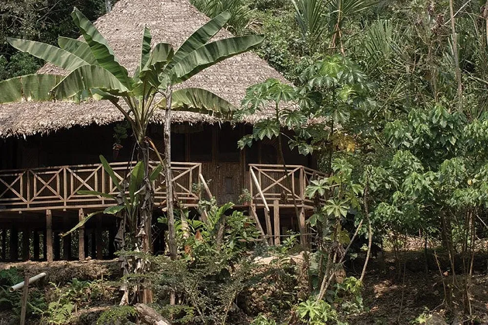 Wizard's Mountain Healing Center