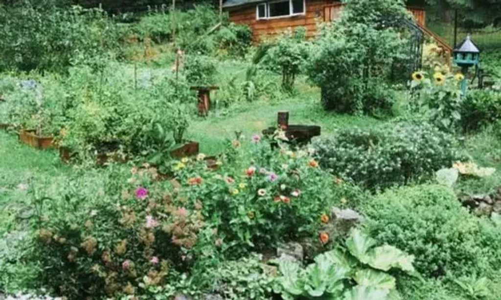 Xenia Retreat Centre — Xenia is set within 38 acres of meadows and old-growth trees on Bowen Island, surrounded by lush parkland and lakes. The atmosphere is one of tranquility and deep connection with the natural world, with intentionally designed spaces for reflection and group activities.