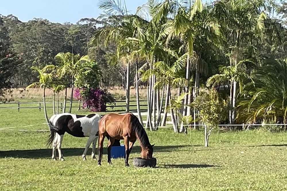 Yajilarra Retreat