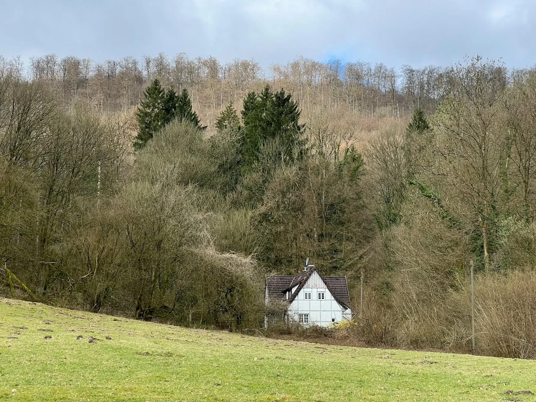 Yoga Vidya — The center is idyllically located at the edge of a large forest, providing a serene and natural backdrop. This peaceful environment is designed to help visitors slow down and leave behind the stresses of everyday life.