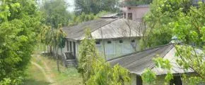 Dhamma Birata