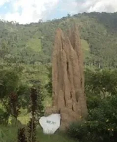 Ghana Dhamma Practitioners Foundation