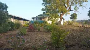 Dhamma Jalgaon — The center is located on a 1.5-acre hilly plot in the village of Umala, adjacent to the Jalgaon-Ajanta-Aurangabad Highway. It offers a peaceful, natural environment for meditation, with activities historically commencing beneath a sacred Neem tree.