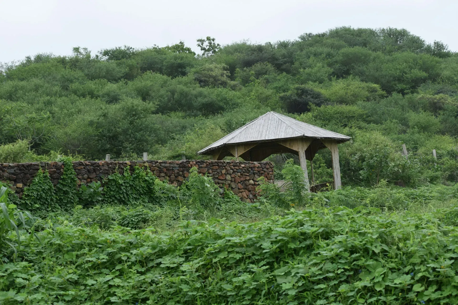 Dhamma Junagadh — The exact setting of Dhamma Junagadh is not specified, but as a Vipassana center, it likely provides a peaceful and conducive environment for meditation, away from the distractions of urban life.