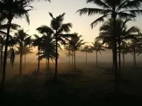 Dhamma Ketana — The center is situated on a tranquil 5.2-acre property in Cheriyanad, a village near Chengannur town in the south Indian state of Kerala. It offers a rustic environment, providing a peaceful escape from the hustle and bustle of city life.