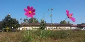 Dhamma Korea