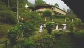 Dhamma Kuta