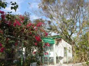 Hong Kong Vipassana Meditation Centre