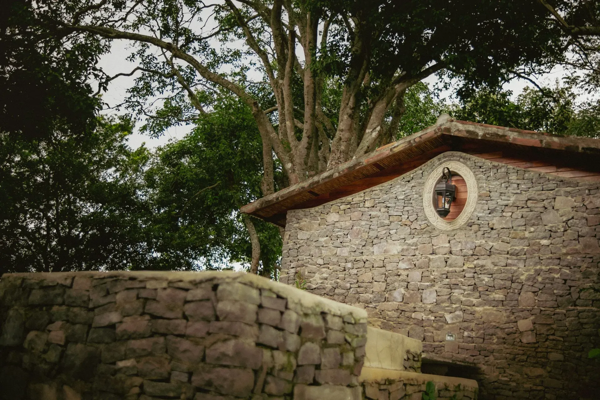 Nicaragua — The specific setting of the center in Nicaragua is not detailed in the available information. It is a place dedicated to the practice of Vipassana meditation.