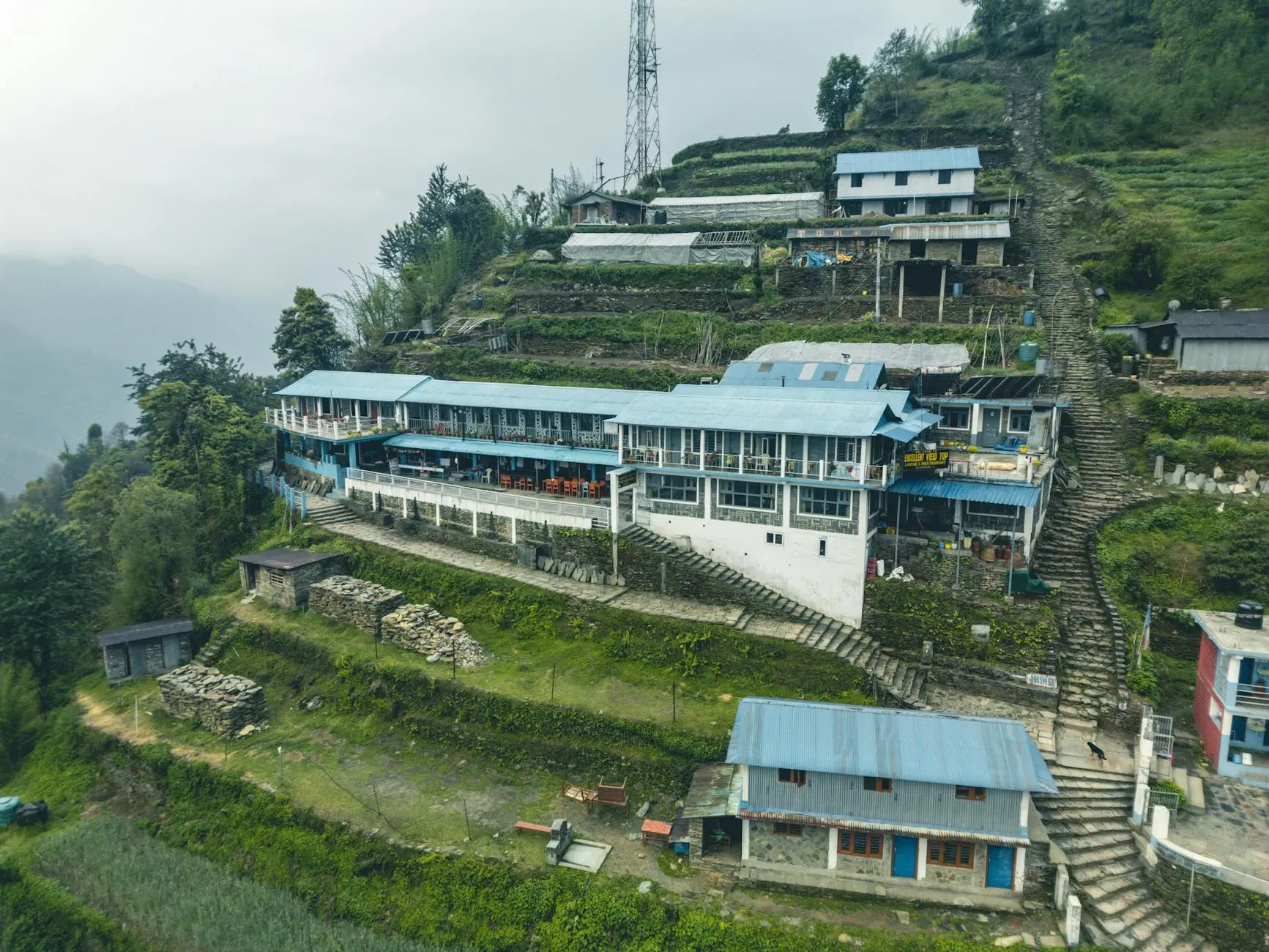 Dhamma Nibha &#8211; Dhamma.org