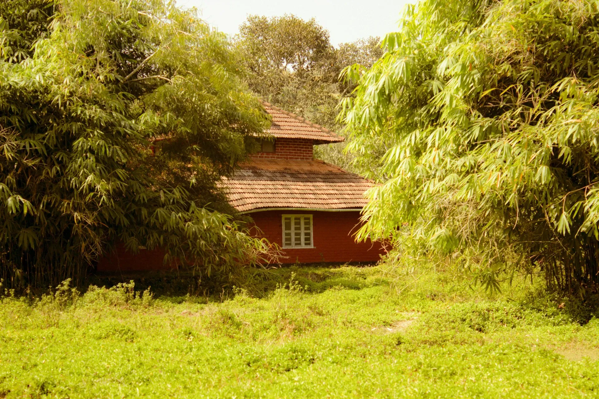 Dhamma Parimala &#8211; Dhamma.org — The center is located in Wayanad, a region known for its lush greenery and serene landscapes in Kerala, India. While specific details about the immediate surroundings of the center are not provided, one can anticipate a peaceful and natural environment conducive to meditation practice.