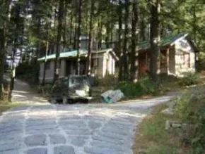 Dhamma Sikhara — Perched at an elevation of 2000 meters in the Dhauladar range, Dhamma Sikhara is enveloped by three acres of stunning deodar cedar forest. The air is crisp, and the views are expansive, creating a naturally peaceful and inspiring environment for meditation. It's situated adjacent to the village of Dharamkot, above the bustling McLeodganj, offering both seclusion and a touch of local life nearby.