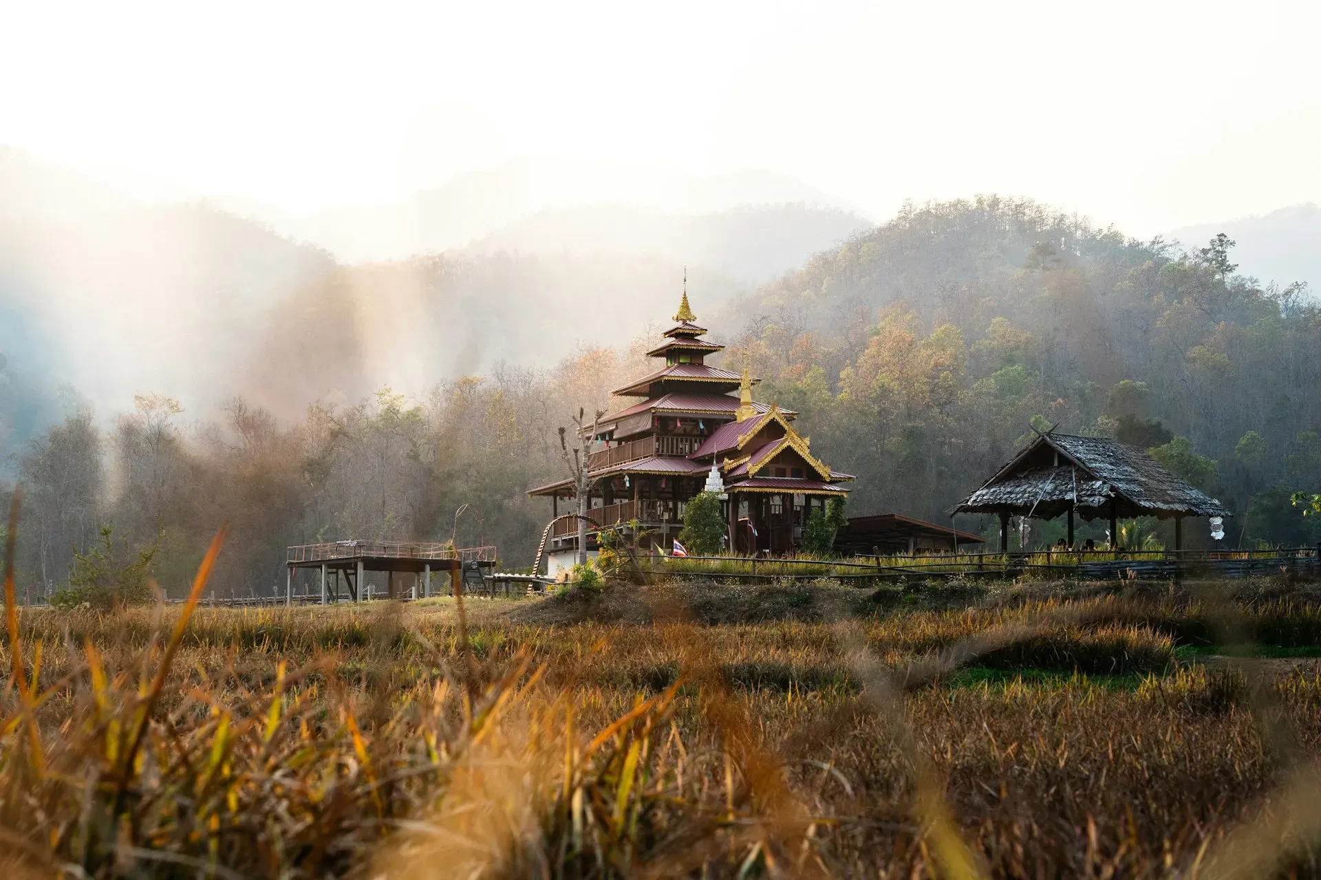 Dhamma Sudhālaya Vipassana Meditation Center,Nakhon Sawan THAILAND — The center is located in Amphur Lat Yao, within the Nakhon Sawan province of Thailand. While specific details about the immediate surroundings are not provided, Vipassana centers typically choose locations that are conducive to quiet contemplation, often with natural elements that support a peaceful atmosphere.