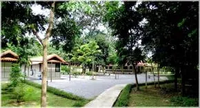 Dhamma Suvaṇṇa — The center is situated on 28 acres of quiet forestland, abundant with local trees that provide ample shade. Two large, beautiful ponds at the front of the property not only enhance the scenic beauty but also serve as vital water reservoirs, helping to maintain a pleasant coolness even during the hot season.