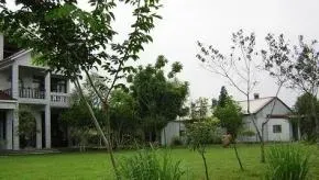 Dhammodaya