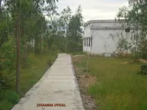 Dhamma Utkal — The center is nestled on 11 acres of land, rich with eucalyptus trees, creating a naturally calming atmosphere. The presence of two small rivers and a nearby mountain further enhances the tranquility, providing a peaceful backdrop for meditation and reflection. It's a quiet, rural setting designed to minimize distractions.
