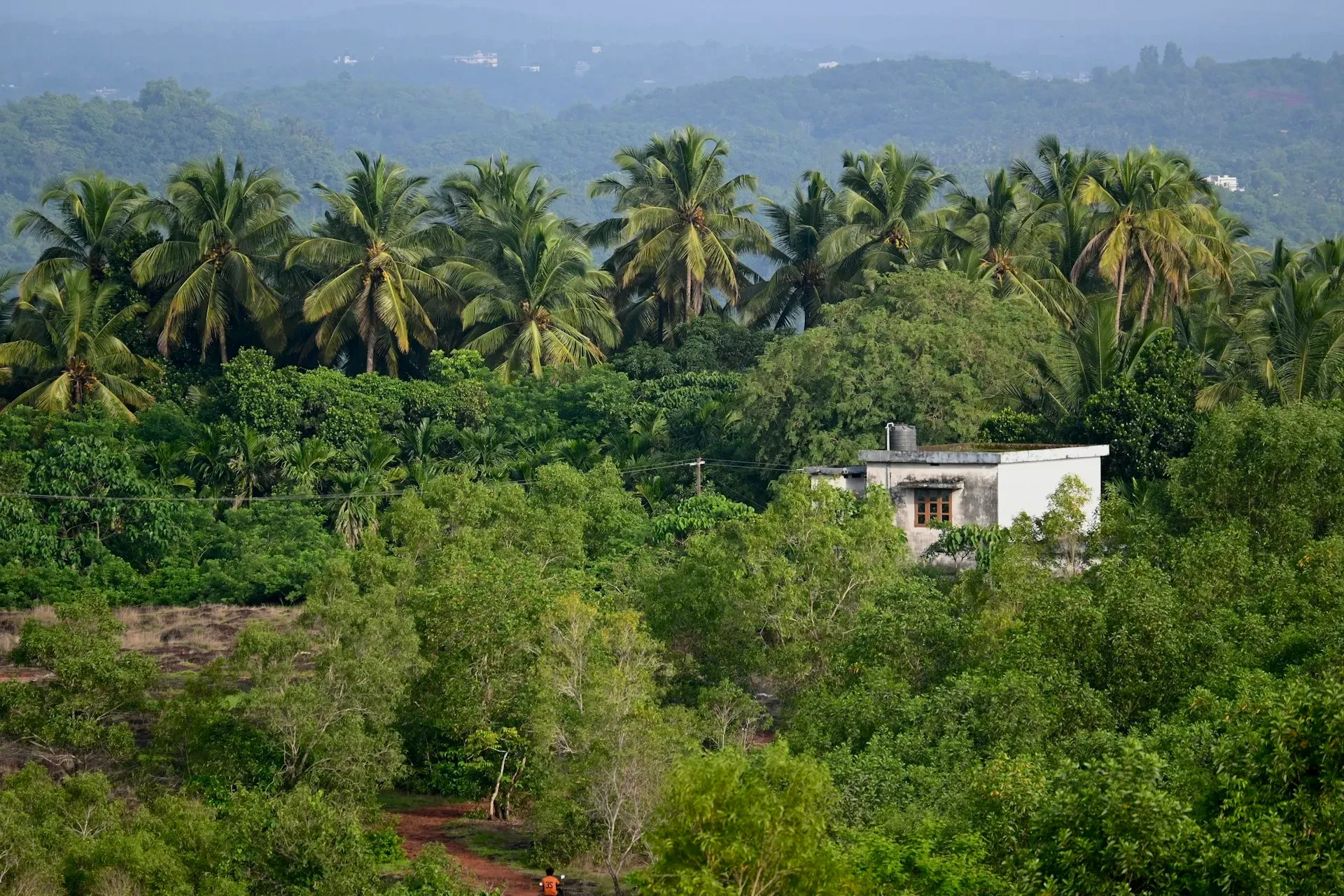 Dhamma Vana — Dhamma Vana is situated amidst agricultural fields in Nadappanahalli Village, near Chunchunkatte, offering a peaceful, rural backdrop for meditation. The atmosphere is one of quiet simplicity, far removed from urban distractions, allowing for deep immersion in practice.