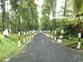 Dhamma Vatika — Dhamma Vatika is nestled within a lush 10-acre farm, abundant with coconut and chikoo trees. This verdant setting provides a naturally peaceful and quiet atmosphere, ideal for a retreat experience.