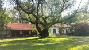 Dhamma Viriya
