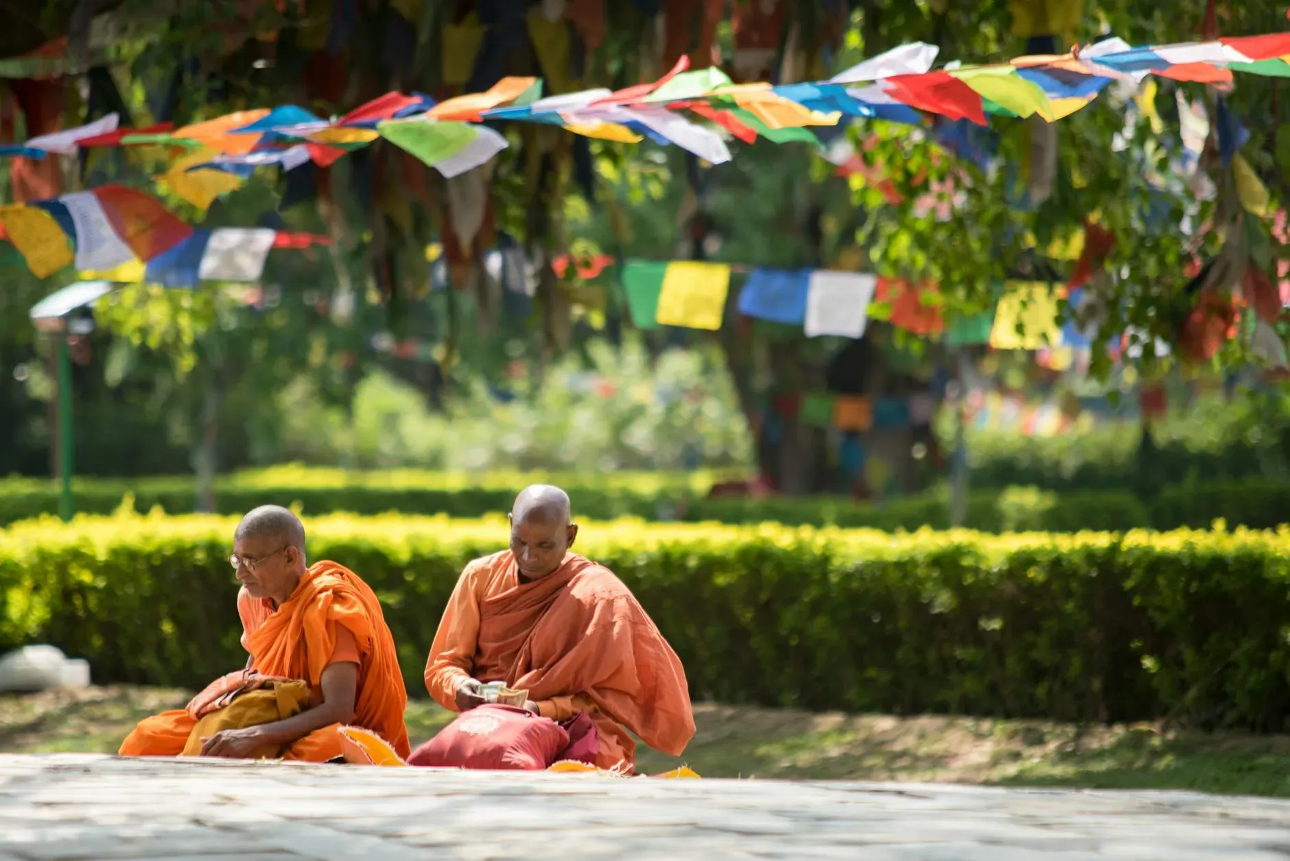 Dhamma Yana &#8211; Dhamma.org