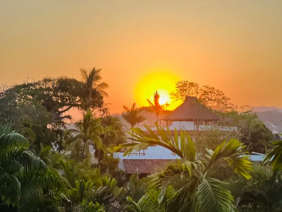 🌻Sunflower & Baba’s Health and Wellness retreat — Sayulita is a vibrant coastal town in Mexico, known for its beaches and relaxed atmosphere.