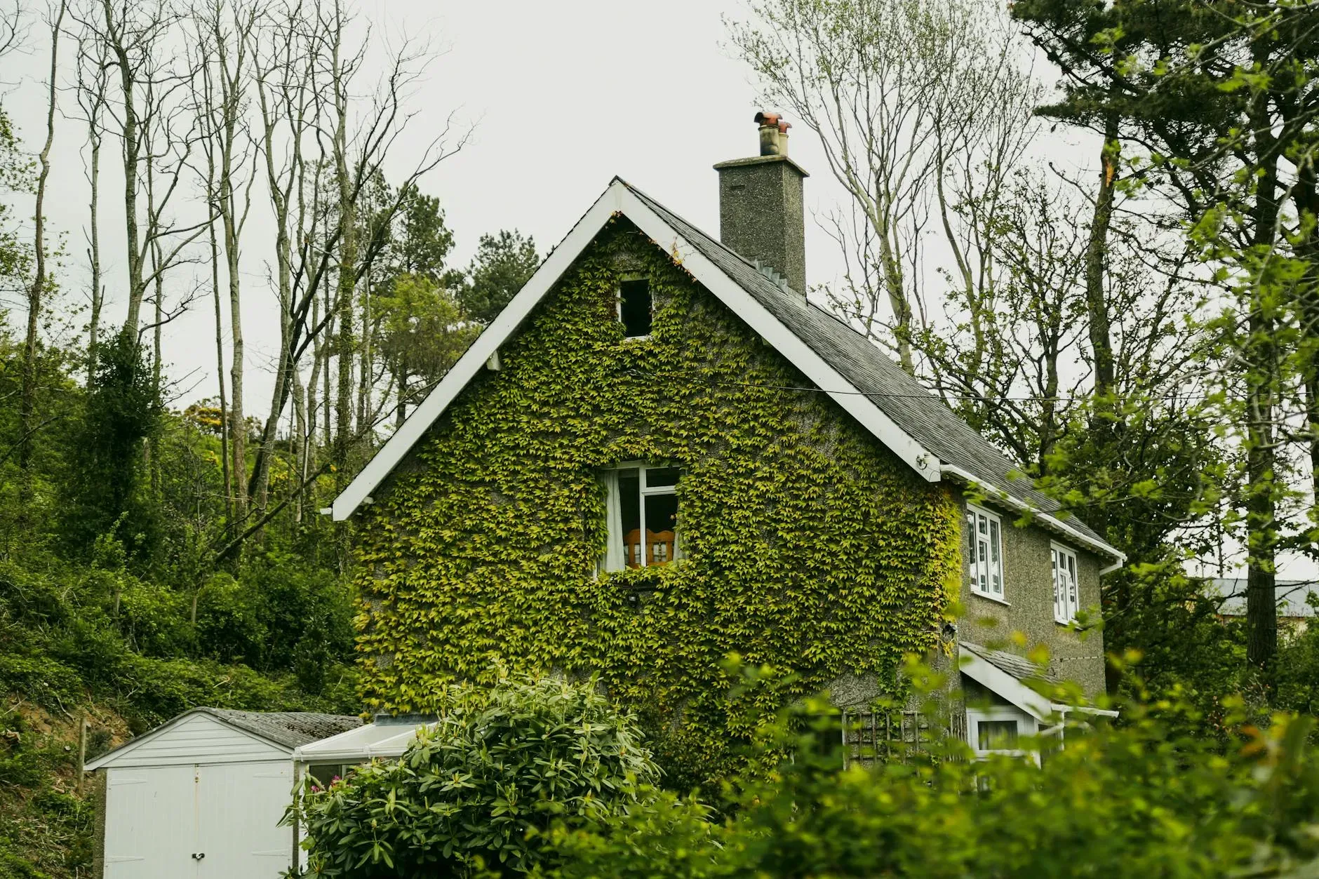 Karuna Institute — The institute is located at Natsworthy Manor, near Newton Abbot, amidst the picturesque landscapes of Devon. This rural setting provides a tranquil and supportive atmosphere, conducive to deep personal work and reflection, surrounded by the natural beauty of the English countryside.