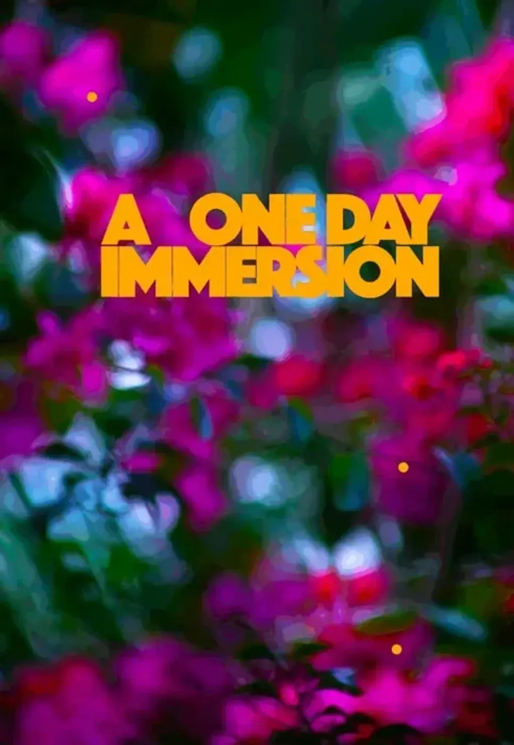 a one day immersion — The retreat takes place at Casa Firefly Boutique Retreat Hotel, located just a short drive from Cahuita town center. The area is characterized by its lush Caribbean environment, with easy access to the beach and a vibrant, tropical atmosphere.