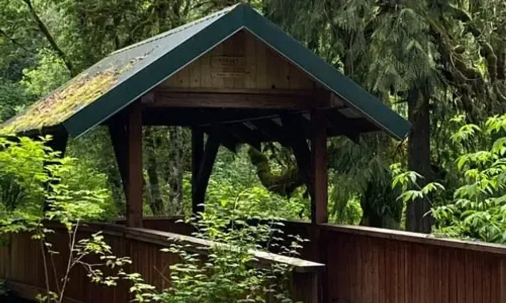 Agni Yoga — The retreat unfolds across 156 acres of private land in Scio, Oregon, described as a 'magical land.' This expansive natural environment provides a tranquil backdrop for introspection and connection, inviting guests to fully engage with the outdoors.