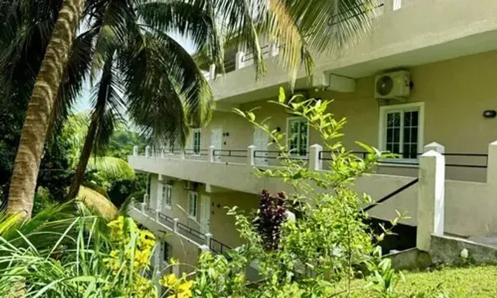 Alafia Holistic — Immerse yourself in the natural beauty of St. Vincent and the Grenadines. This idyllic Caribbean setting provides a serene and vibrant backdrop for healing and self-discovery, with lush landscapes and a tranquil atmosphere conducive to deep relaxation.