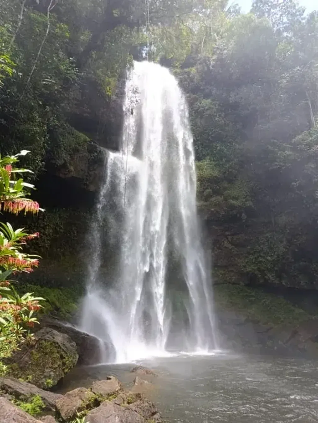 Alberto — The setting for this unique experience is the Lower and Upper Putumayo region of Colombia, a land rich in biodiversity and indigenous heritage. Expect to be surrounded by dense jungle, with opportunities to explore stunning natural features like waterfalls and rivers. The atmosphere is one of deep connection to nature and ancient traditions, far removed from the distractions of everyday life.