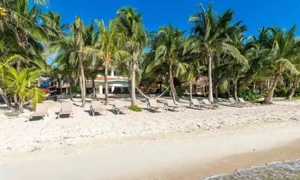 ALEX DAVIS, CPA, CFP®️ — This retreat unfolds within an exclusive 18,000 square foot beachfront villa, situated directly on the pristine white sands of Soliman Bay in Riviera Maya. The secluded paradise offers a serene blend of tranquility and natural beauty, with the gentle sounds of the sea providing a constant, soothing backdrop. High-ceilinged rooms bathed in natural light create an expansive and comfortable atmosphere.