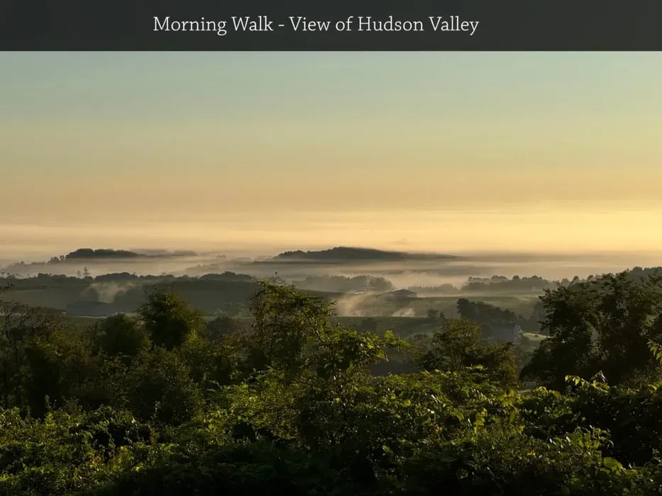 Always On Meditation — set among mature trees, the center offers a serene and quiet atmosphere. This peaceful home in the Hudson Valley provides the soothing sounds of nature, creating an ideal environment for silent retreat and deep reflection.