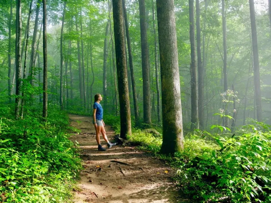 Amanda Chick - Breathwork Facilitator — Located in Lake Toxaway, North Carolina, the retreat offers a tranquil environment for self-exploration. The natural beauty of the region provides a peaceful backdrop for connecting with oneself and others, fostering a sense of calm and introspection.