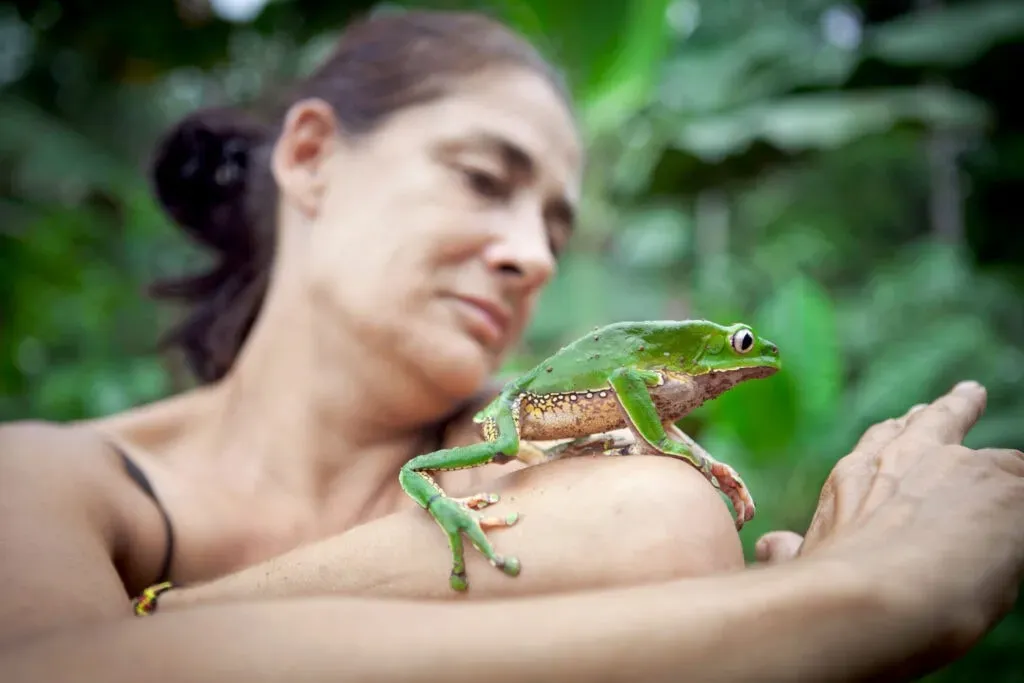 Amazon Retreat — Located in the vibrant city of Iquitos, Peru, Amazon Retreat serves as a gateway to the vast and biodiverse Amazon rainforest. While the exact venue details for the retreat itself are not specified, the context suggests an environment deeply connected to the natural world, likely offering a serene escape from urban life and a direct link to the jungle's profound energies.
