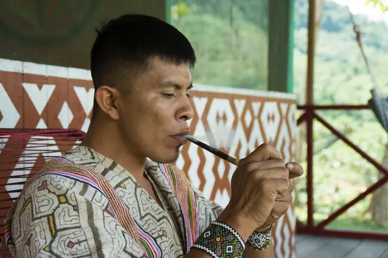 Amazonia Moyano Ayahuasca Healing Center — set in Castillo Grande, near Tingo Maria, the center offers a serene and natural environment for deep healing. The property features a central ceremonial maloca, surrounded by accommodation cuartos and more secluded tambos, providing a peaceful backdrop for introspection and connection with nature.