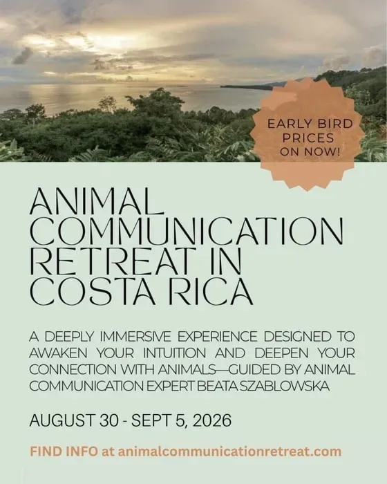 Animal Communication Retreats