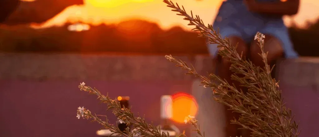 As Above, So Within — retreat center